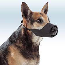 Trouvez des accessoires pour vos animaux adorés à petit prix! Museliere En Nylon Museliere Noire Pour Chien Vetostore