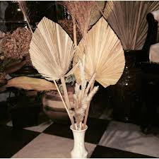 Maybe you would like to learn more about one of these? Daun Palem Kering Rustic Dekorasi Shopee Indonesia