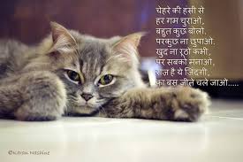 Hindi Shayari Cat Cat Love Quotes Romantic Images With Quotes Love Quotes