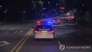 대형 사고친 경찰.gisa | 디아2 인벤