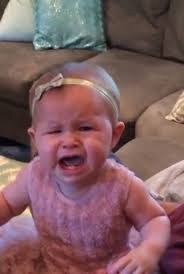 From Chewbacca Mum to a sarcastic Scottish gran, here are the top 5  funniest videos of 2016