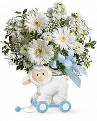 Little shop of flowers proudly serves myrtle beach and the surrounding areas. Teleflora S Sweet Little Lamb Baby Blue In Myrtle Beach Sc La Zelle S Flower Shop