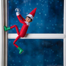 The spiny first dorsal fin is normally folded back in a groove, as are its pectoral fins. Elf On The Shelf Skin Tones Popsugar Family