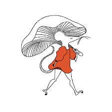 aonschwartz, Author at Mangoprism