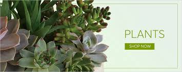 Erika's flowers works hard to craft outstanding floral arrangements and provide exceptional customer satisfaction to saginaw, mi. Saginaw Florist Flower Delivery By Gaudreau The Florist Ltd