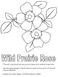 State of north dakota activities : Rose2 Online Coloring Pages