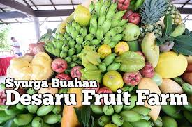 Jika bateri rosak dalam tempoh warranty/ jaminan & dalam kawasan operasi, kami datang ke tempat anda untuk bantuan segera secara percuma. Tips Auto Bateri Sel Kering Kereta Tahan Berapa Lama