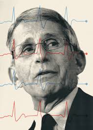 Aids, anthrax, swine flu, ebola and, now, a coronavirus pandemic that has turned this infectious disease expert into the most influential person in american public health. How Anthony Fauci Became America S Doctor The New Yorker