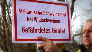 Een land dat meer dan één oorlog, vele splitsingen en reünies heeft overleefd, kan een toerist veel vertellen over hoe de wereld te beschermen en monumenten uit het verleden te behouden in elke stad, regio en provincie van duitsland zijn er interessante plaatsen voor toeristen. Risicogebied Afrikaanse Varkenspest Duitsland Groter Dan Provincie Limburg Pigbusiness Nl Nieuws Voor Varkenshouders
