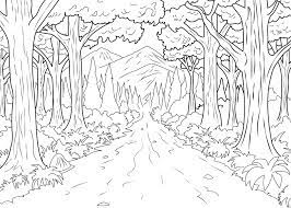 There are all forest coloring games on coloringpagesonly.com, enjoy! Forest Celine Jungle Forest Adult Coloring Pages
