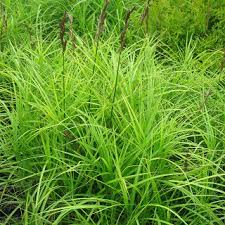 We did not find results for: ãã®ä»–ã®è‰² å¤§æ£®ã‚¬ãƒ¼ãƒ‡ãƒ³