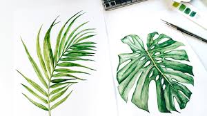 I shade the trunk a bit and added some roots to the hill. Tropical Watercolor Leaves Painting Time Lapse Monstera Palm Leaf Baby Lion Youtube