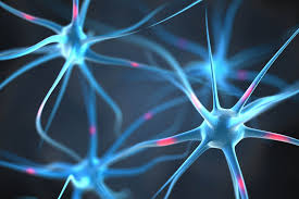 How Drugs Affect The Brain Central Nervous System