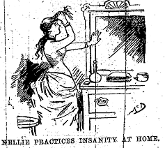 Ten Days In A Mad House Nellie Bly Bly History