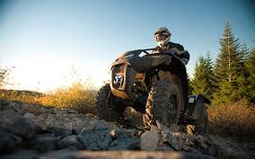 On average, your atv insurance can cost anywhere from a few hundred dollars to over a thousand dollars per year. Gotta Get Me Moose B Y Steers Insurance