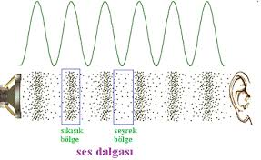 Sesin oluşabilmesi için, bir varlık tarafından oluşturulan titreşim hareketlerine ihtiyaç duyulur. Ses Ve Deprem Dalgalari Konu Anlatimi Universitego Universitego