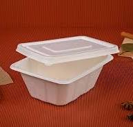 Quit Plastic launches 1000 ml Sugarcane Bagasse Rectangular ...