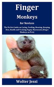 Including information on baby finger monkeys, finger monkey adoption, cage setup. Finger Monkeys For Novices The Perfect Guide On Caring Feeding Housing Keeping Diet Health And Training Pygmy Marmosets Finger Monkeys As Pets Jessi Wolter Amazon De Bucher