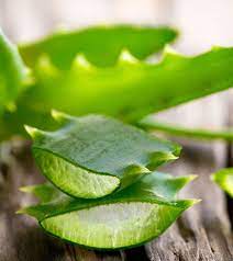 Wir stellen ihnen acht pflegende rezepturen vor, die sie schnell zu hause anrühren können. 1001 Ideen Zum Thema Wie Wachsen Haare Schneller Haare Wachsen Schneller Haare Wachsen Lassen Haare Wachsen