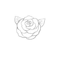 The first story to be produced by bbc wales, it was both the first new episode of doctor who since the 1996 telemovie and the first story to be part of a regularly airing programme since survival in 1989. Use Ink Liners To Create A Skull And Roses Drawing