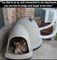 Stolen From Fb Ac To Dog House Dog House Air Conditioned Dog House Cool Dog Houses