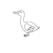 52 sketsa gambar angsa di kolam terlengkap. Gambar Dengan Angsa Stok Foto Gambar Dengan Angsa Gambar Bebas Royalti Depositphotos