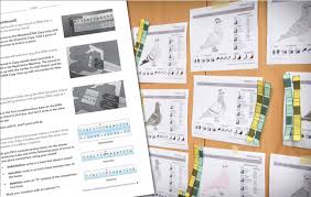 Dna mutations occur when there are changes in the nucleotide sequence that makes up a strand of dna. Development And Pilot Testing Of A Three Dimensional Phenomenon Based Unit That Integrates Evolution And Heredity Evolution Education And Outreach Full Text