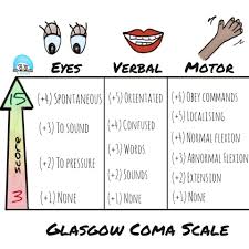 Some centres score gcs out of 14, not 15, omitting 'withdrawal to pain'. What Is The Glasgow Coma Scale The Scrub Nurse
