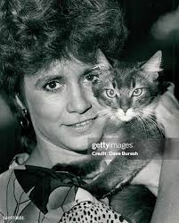 24 Showning Stock Photos, High-Res Pictures, and Images