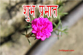 Birthday Wishes For Father In Law In Nepali 41 Good Morning Sms In Nepali Language Messages Cards Good Morning Wishes Good Morning Quote Cards