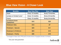 Eyemed offers more choices and better quality in eyewear and eye care for service benefit plan members. Blue View Vision Plus