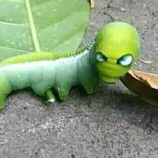 See full list on serupa.id Kehidupan Masyarakat Indonesia Pada Masa Demokrasi Parlementer Belum Pernah Mencapai Kestabilan Brainly Co Id