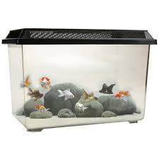 For His Insects Snails Etc Https Www Amazon Co Uk Dp B00gx9ww7g Ref Cm Sw R Pi Dp X L225zb29dhpe7