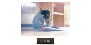 Prices vary based on the size. Best Part About Jigsaw Puzzles Printcious Blog