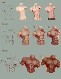 Anatomy Torso Male Muscles Body Type Tutorial … in case you are interested in learning how to draw the male body you can check the step by. anatomy torso male muscles body