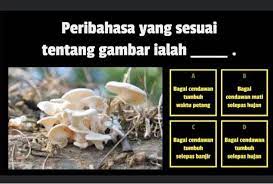 Tiada muafakat dalam sesuatu perbincangan. Facebook