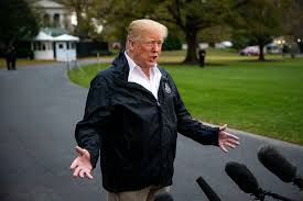 Matt gaetz is proving boehner's warning about gop right. At 243 Pounds Trump Tips The Scale Into Obesity The New York Times