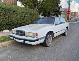 Image result for Bright White 1993 Caravan