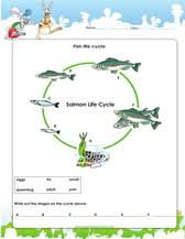 All worksheets are pdf documents with the answers on the 2nd page. Grade 3 Science Worksheets Pdf