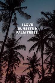These tree quotes will help you become more aware of your connection with something larger than yourself. I Love Sunsets Palm Trees Beach Life Quotes Beach Quotes Travel Facts