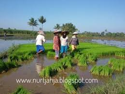 Managament Research Traveling Prinsip Dasar Teori Produksi Pada Ekonomi Mikro Teori Ilmu Ekonomi Alam