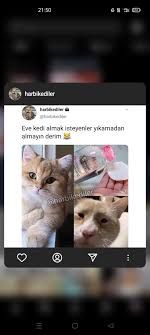 bu neee komik komik seyler komik goruntuler