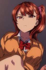 Nogami izumi