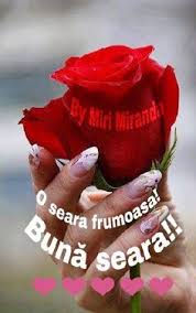 Somnul ar fi dulce si pufos unul langa altul noi. 58 BunÄƒ Seara Ideas Mirese Ganduri Bune Citate Frumoase