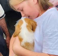 Welcome home Zoe. Soooo excited about this addition to our family…..our  first pet. This will be easy won't it???😂🤣😍Wise advice and tips are very  welcome here!