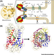 Image result for Beige 1983 Caloric