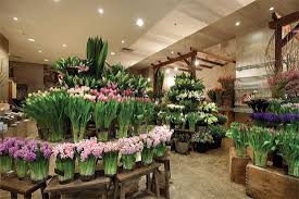 Pink Corner Flower Shop Florist Shop Floral Shop