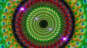 We have comprised a list of all the top green screen apps out there and will cover them motion ninja offers a few green screen resources in various styles and blending options. Color Beautiful Peacock Feathers Peacock Photography Video Background Video Material By Adele Jones