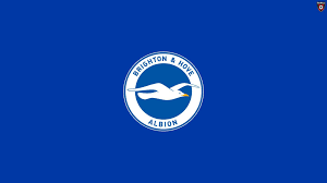 Infuriating, angry and often simply wrong. Brighton Hove Albion F C Wallpapers Wallpaper Cave