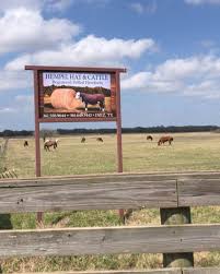 Hempel Hay And Cattle co. (@hempelhayandcattle) • Instagram photos and  videos